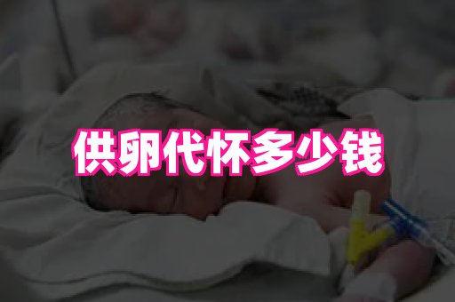 gfg孕网 1