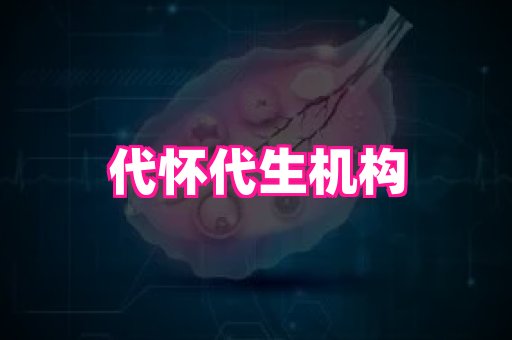 gfg孕网 2