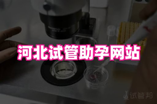 gfg孕网 4